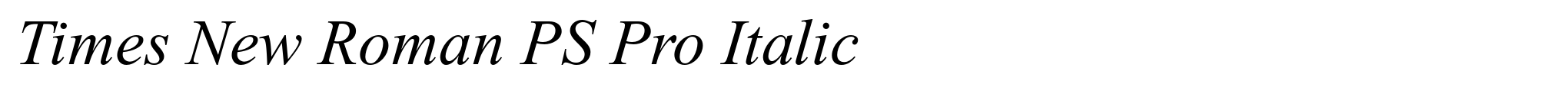 Times New Roman PS Pro Italic image